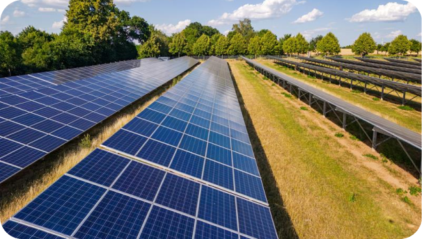 Image of a solar farm