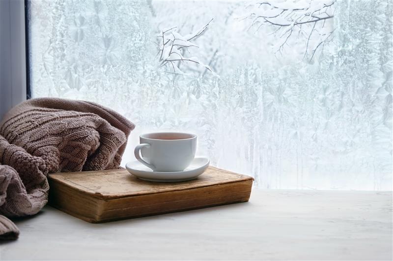 A cup of tea sits on a closed book beside a cozy knitted blanket, with a frosty window in the background.